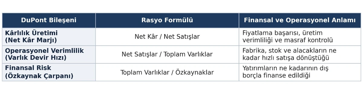 GMI Analiz Görseli